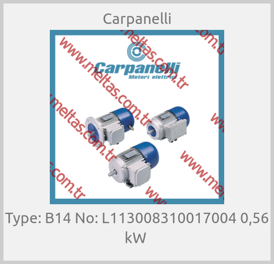 Carpanelli - Type: B14 No: L113008310017004 0,56 kW 