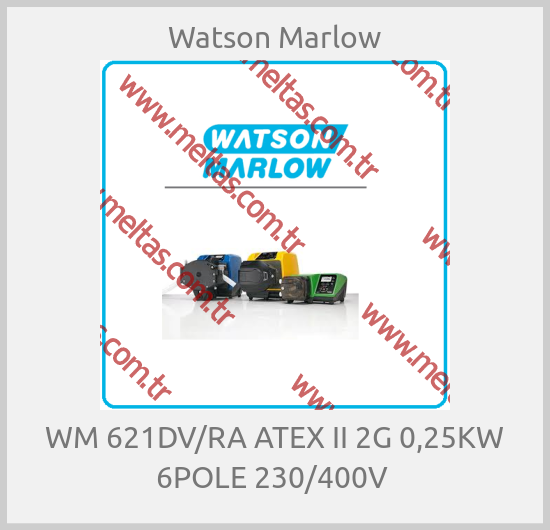 Watson Marlow - WM 621DV/RA ATEX II 2G 0,25KW 6POLE 230/400V 