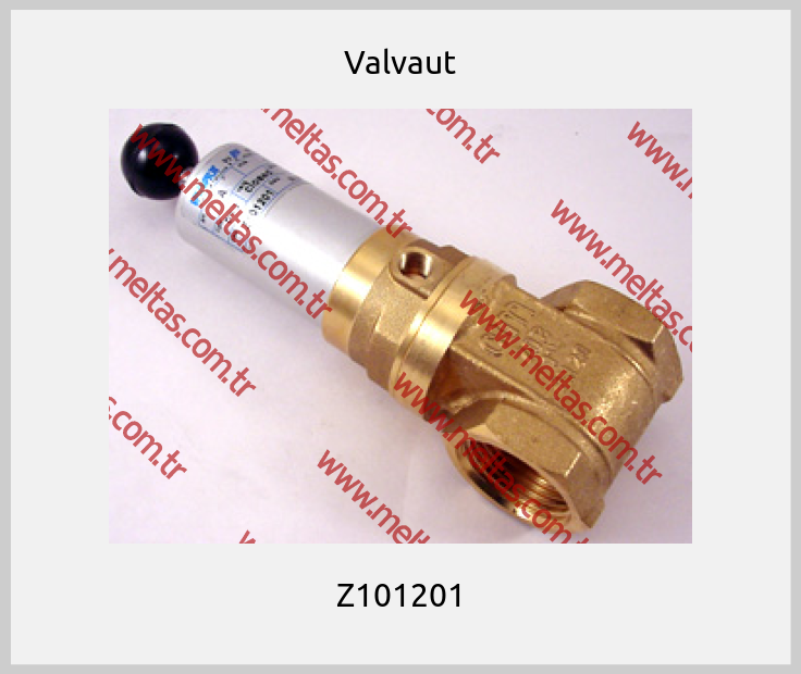 Valvaut - Z101201