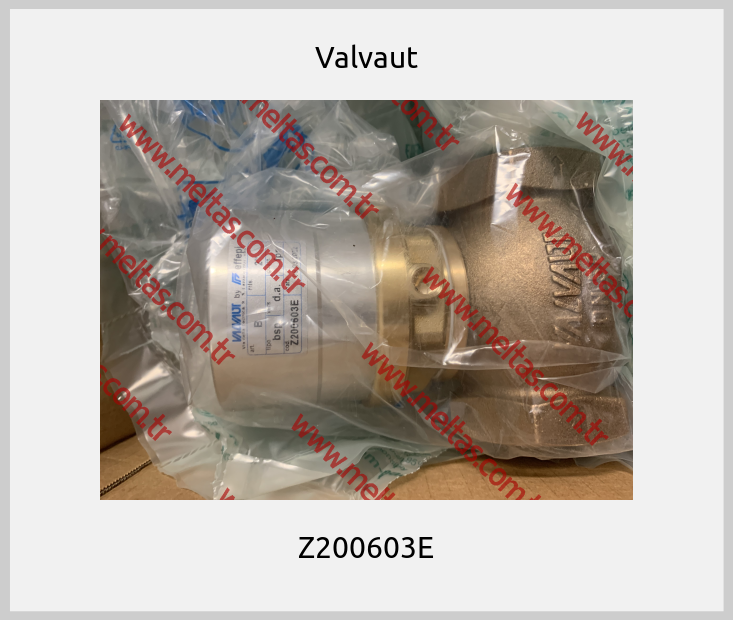 Valvaut-Z200603E