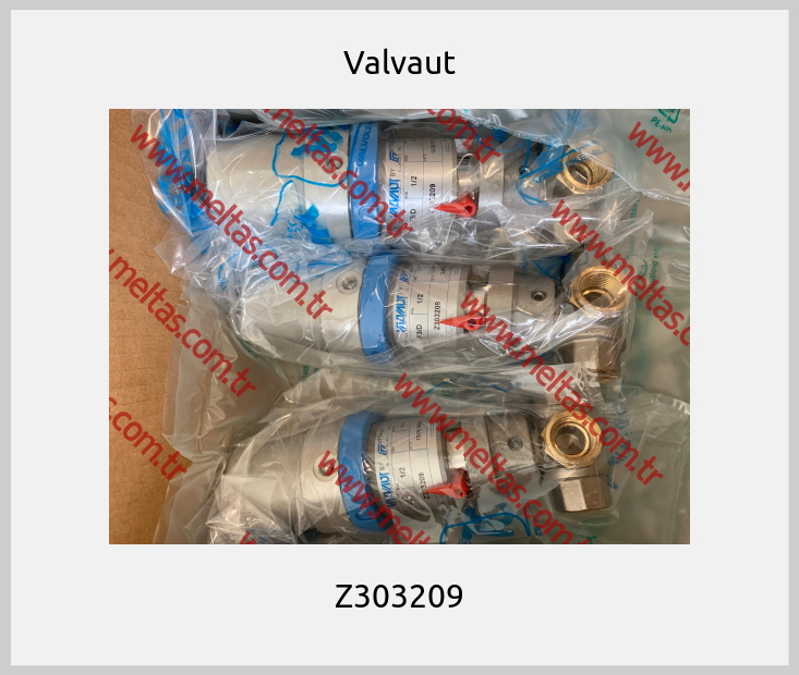 Valvaut-Z303209
