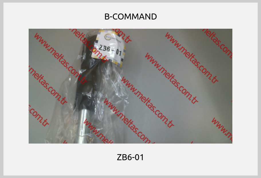 B-COMMAND - ZB6-01