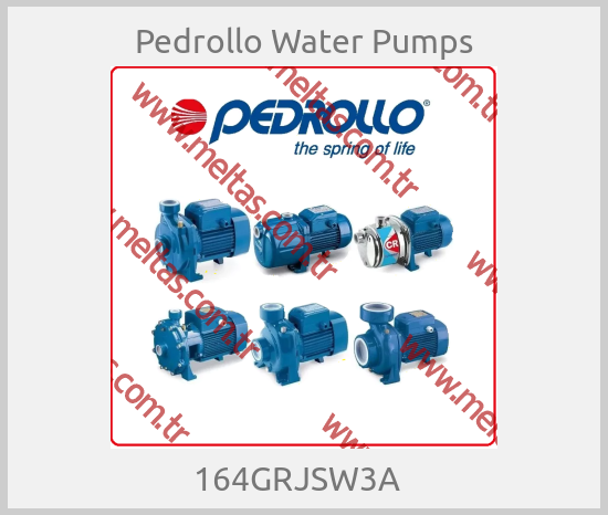 Pedrollo Water Pumps - 164GRJSW3A  