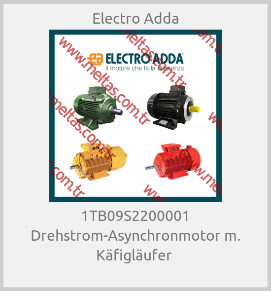 Electro Adda - 1TB09S2200001 Drehstrom-Asynchronmotor m. Käfigläufer 