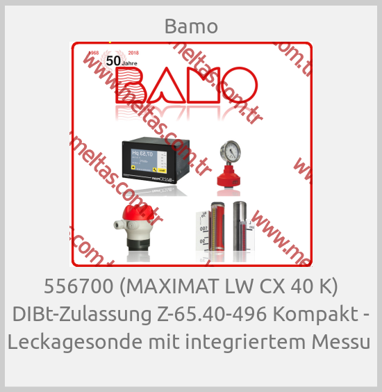 Bamo-556700 (MAXIMAT LW CX 40 K) DIBt-Zulassung Z-65.40-496 Kompakt - Leckagesonde mit integriertem Messu 