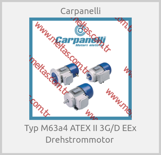 Carpanelli-Typ M63a4 ATEX II 3G/D EEx Drehstrommotor 