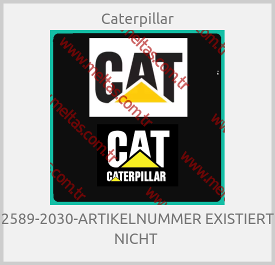 Caterpillar - 2589-2030-ARTIKELNUMMER EXISTIERT NICHT 