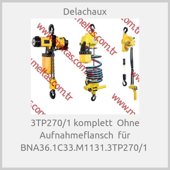 Delachaux - 3TP270/1 komplett  Ohne Aufnahmeflansch  für BNA36.1C33.M1131.3TP270/1 