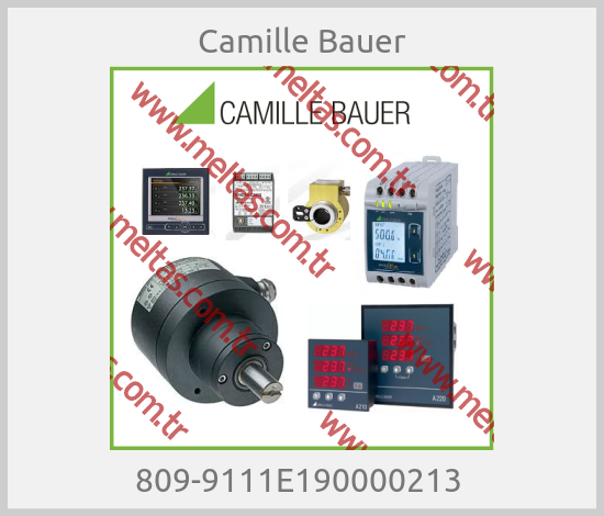 Camille Bauer - 809-9111E190000213 