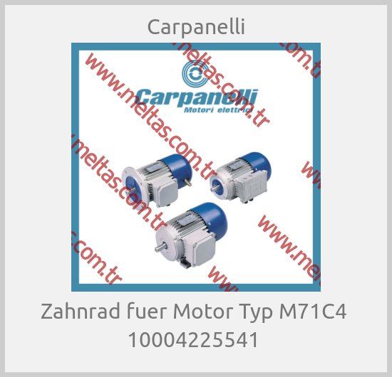 Carpanelli-Zahnrad fuer Motor Typ M71C4  10004225541 