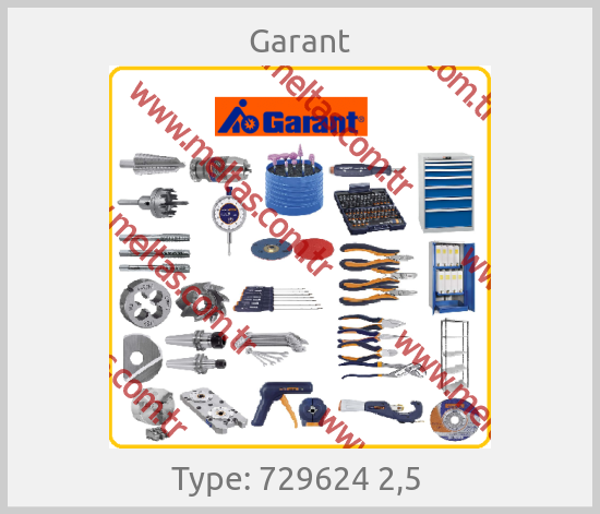 Garant-Type: 729624 2,5 