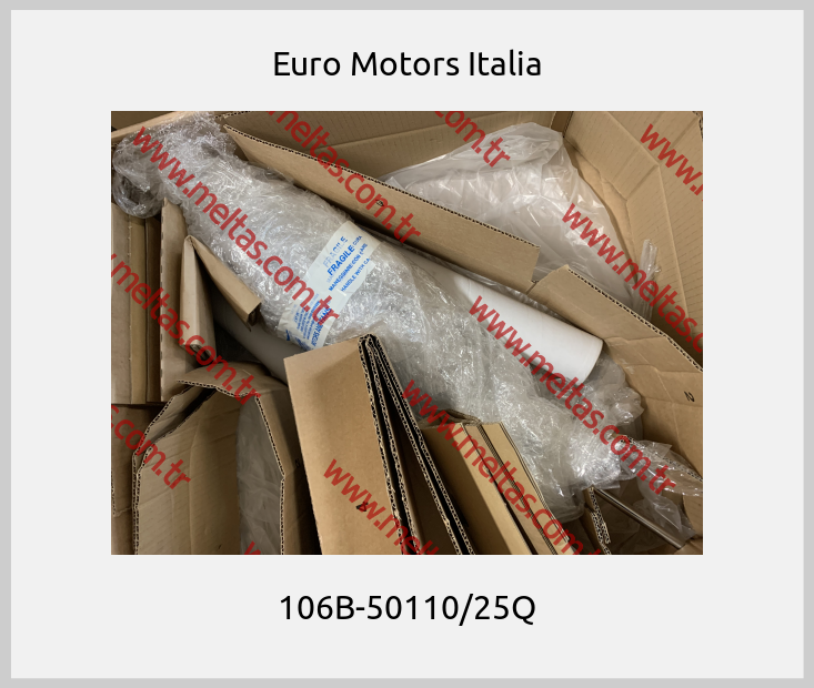 Euro Motors Italia - 106B-50110/25Q