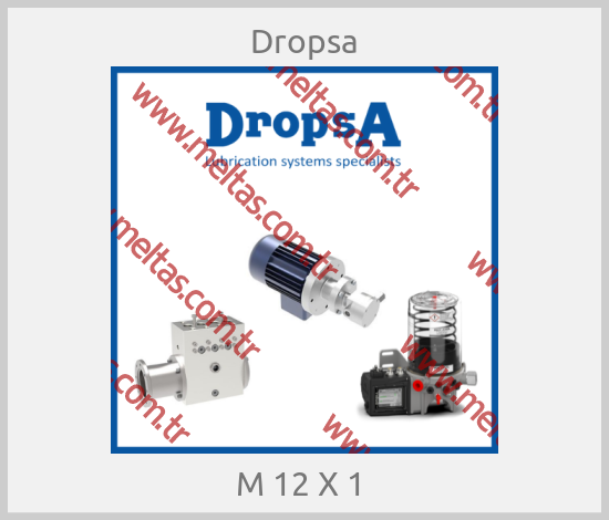 Dropsa - M 12 X 1 