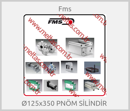 Fms - Ø125x350 PNÖM SİLİNDİR 