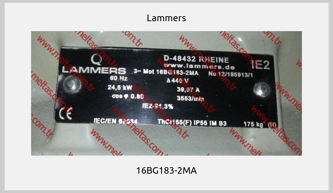 Lammers - 16BG183-2MA