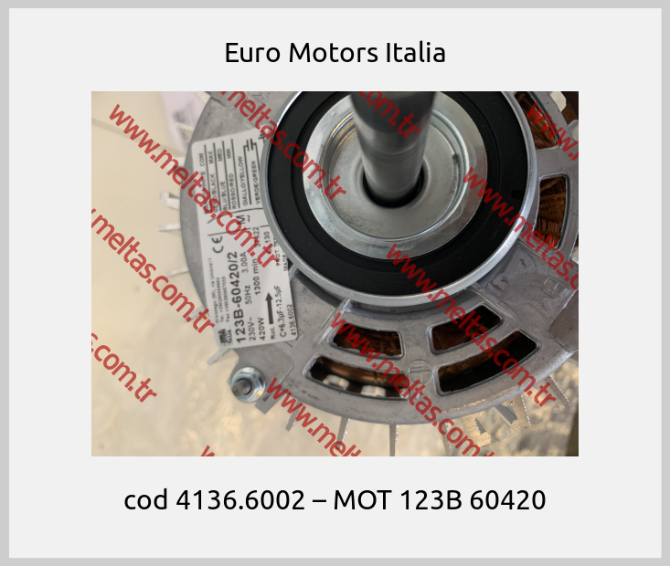 Euro Motors Italia - cod 4136.6002 – MOT 123B 60420