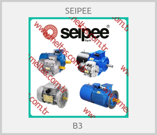 SEIPEE-B3 