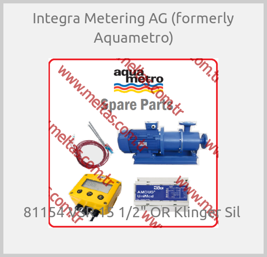 Integra Metering AG (formerly Aquametro) - 81154 VSR 15 1/2" OR Klinger Sil 