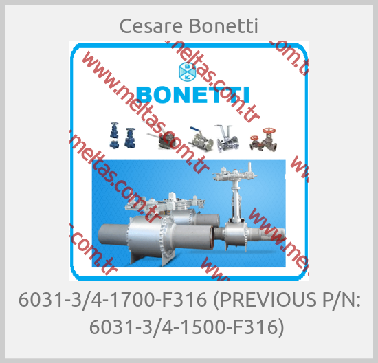Cesare Bonetti-6031-3/4-1700-F316 (PREVIOUS P/N: 6031-3/4-1500-F316) 