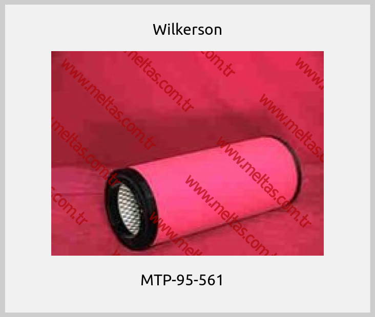 Wilkerson-MTP-95-561   