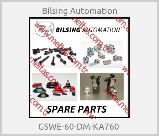 Bilsing Automation - GSWE-60-DM-KA760 