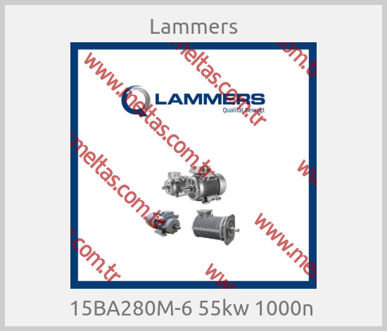 Lammers - 15BA280M-6 55kw 1000n 