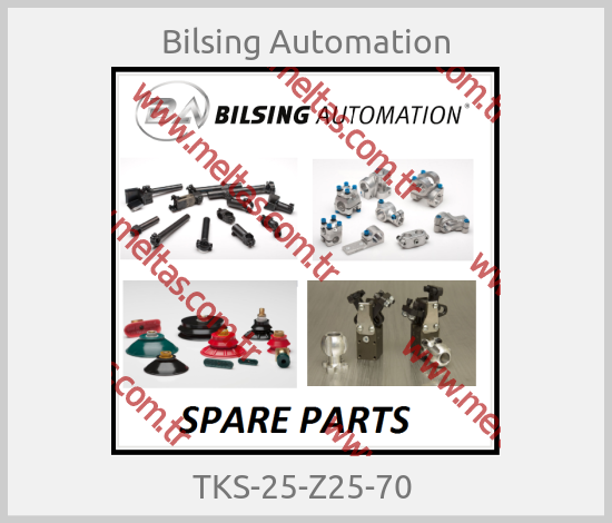 Bilsing Automation - TKS-25-Z25-70 