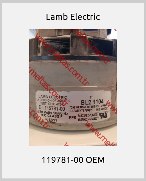 Lamb Electric-119781-00 OEM