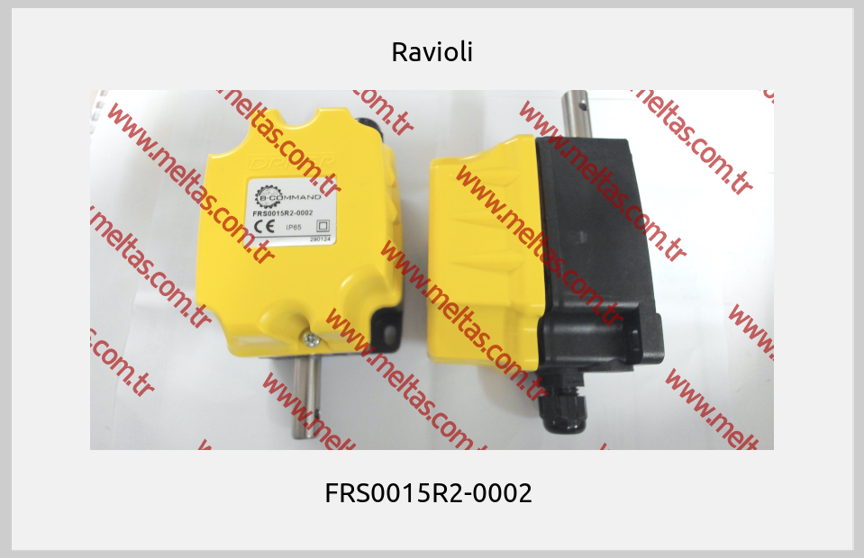 Ravioli - FRS0015R2-0002 