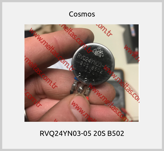 Cosmos-RVQ24YN03-05 20S B502