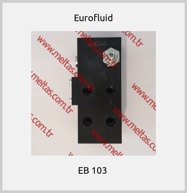 Eurofluid - EB 103 