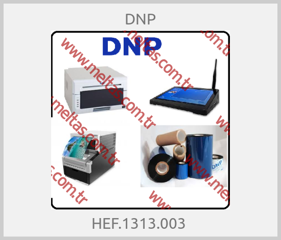 DNP - HEF.1313.003 