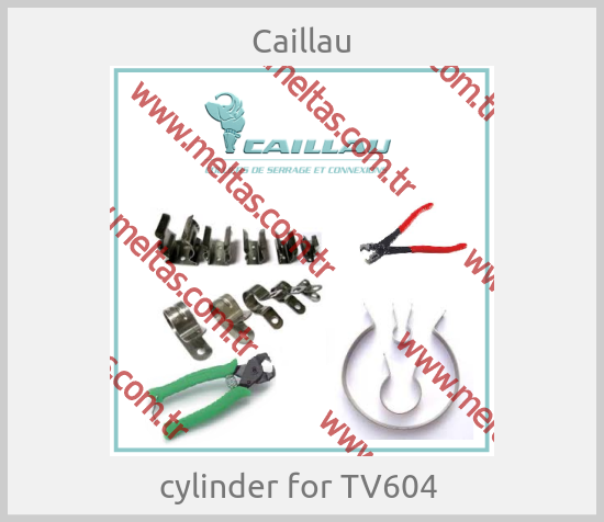Caillau-cylinder for TV604 