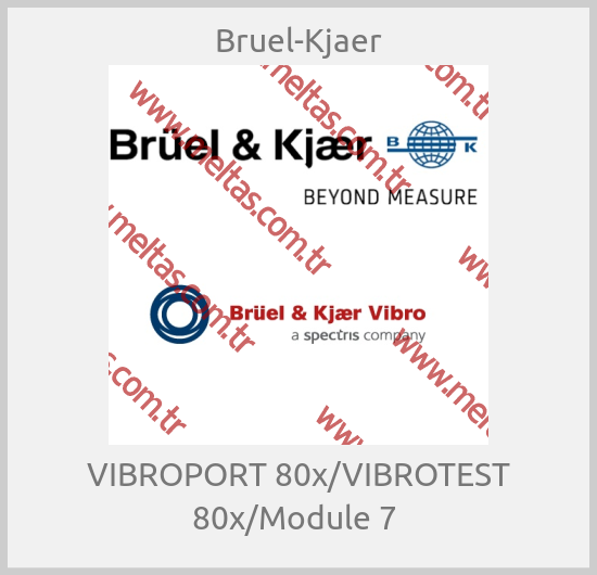 Bruel-Kjaer-VIBROPORT 80x/VIBROTEST 80x/Module 7 