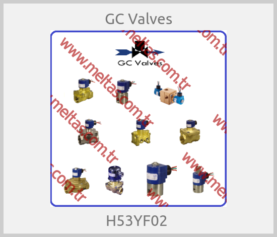GC Valves- H53YF02 