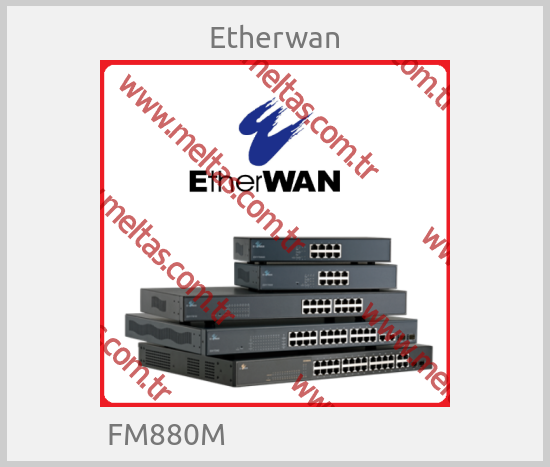 Etherwan - FM880M                               