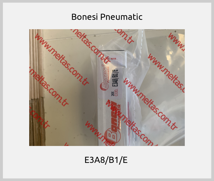 Bonesi Pneumatic-E3A8/B1/E 