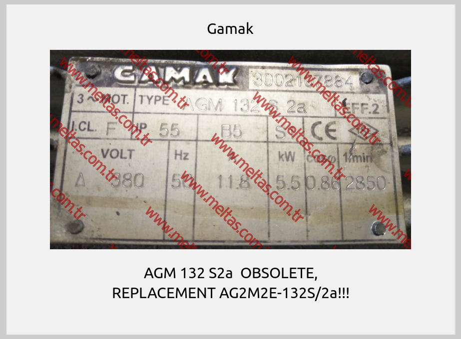 Gamak - AGM 132 S2a  OBSOLETE, REPLACEMENT AG2M2E-132S/2a!!!