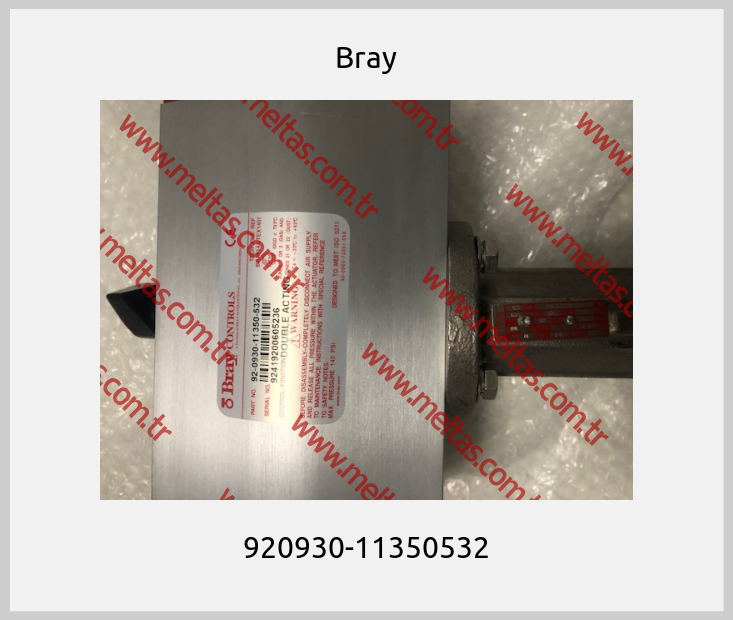 Bray - 920930-11350532