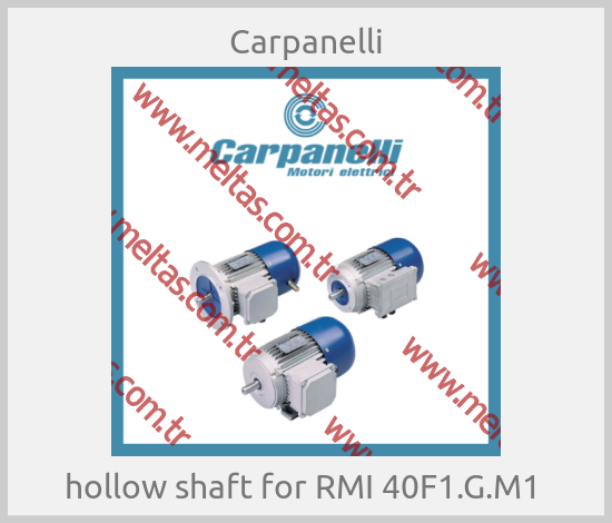Carpanelli - hollow shaft for RMI 40F1.G.M1 