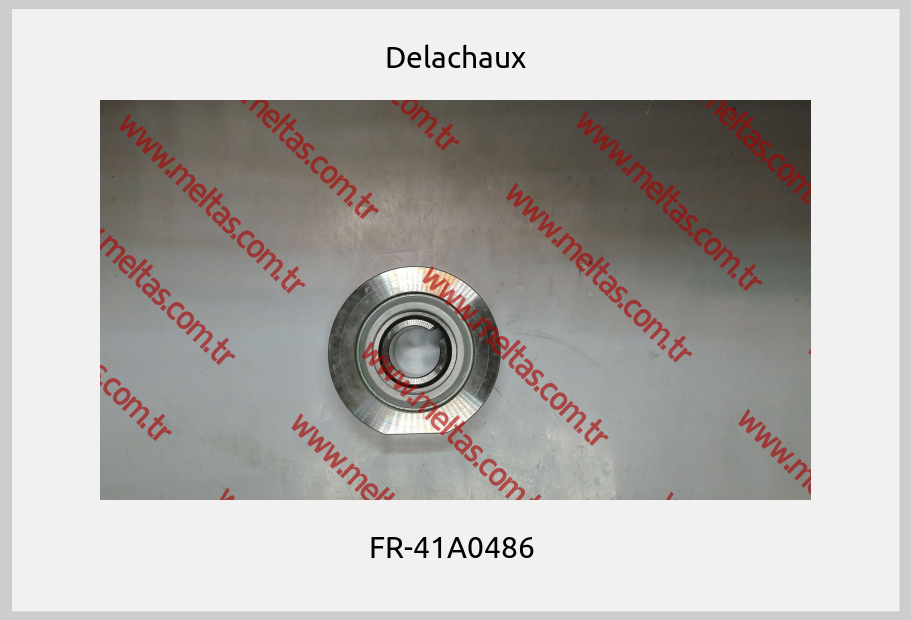 Delachaux-FR-41A0486 