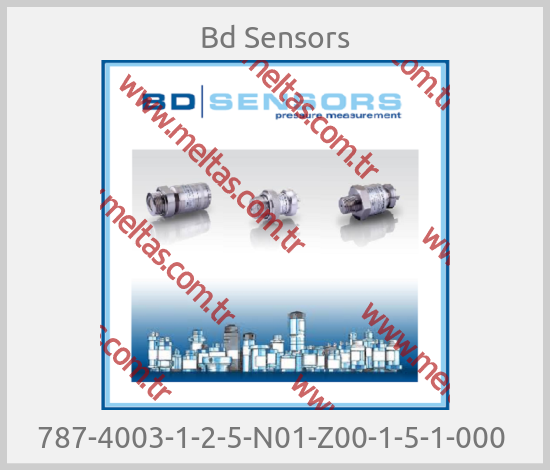 Bd Sensors - 787-4003-1-2-5-N01-Z00-1-5-1-000 