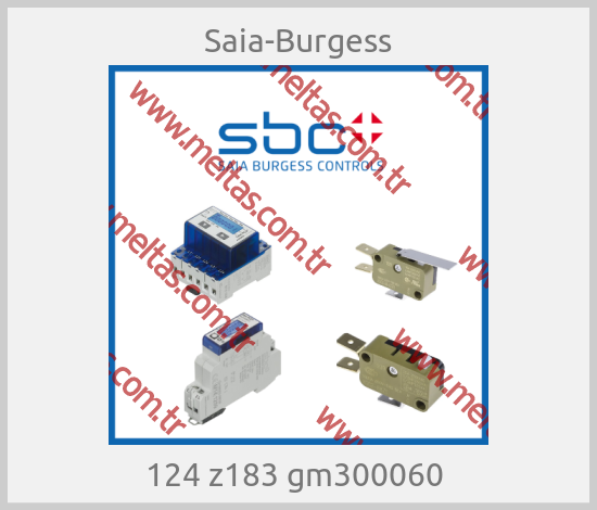 Saia-Burgess - 124 z183 gm300060 