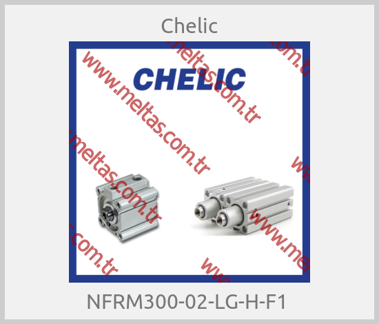 Chelic - NFRM300-02-LG-H-F1 