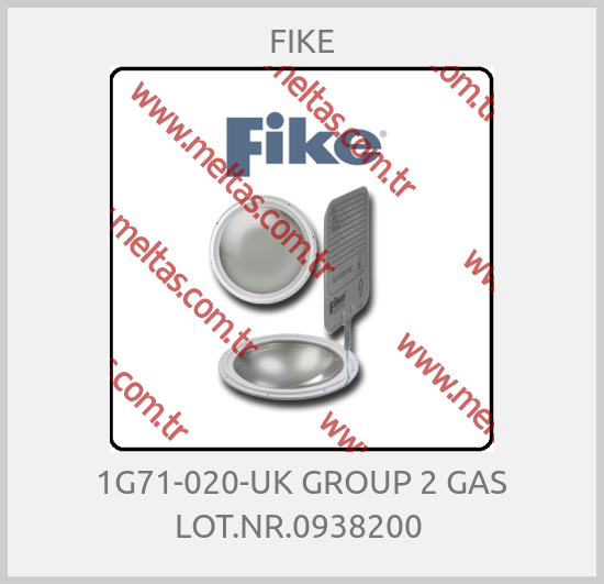 FİKE-1G71-020-UK GROUP 2 GAS LOT.NR.0938200 