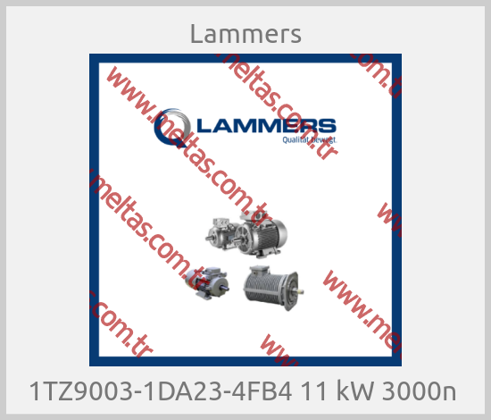 Lammers - 1TZ9003-1DA23-4FB4 11 kW 3000n 