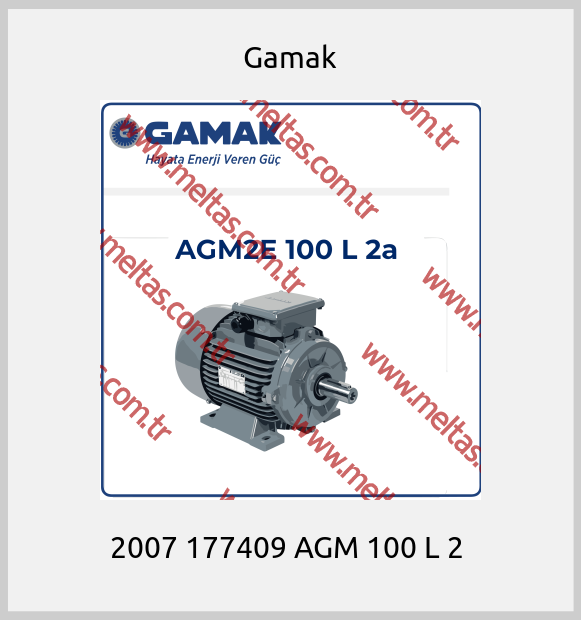 Gamak - 2007 177409 AGM 100 L 2 