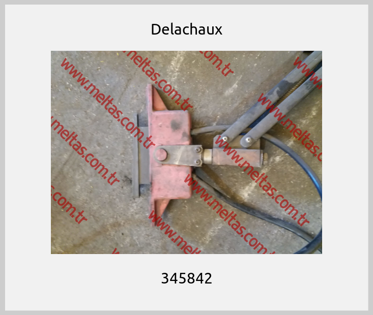 Delachaux - 345842