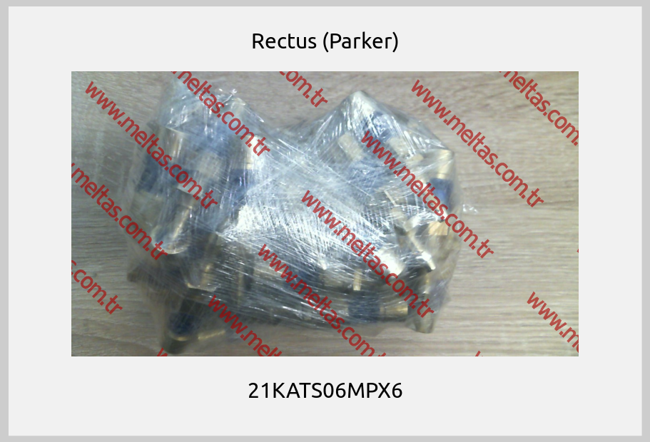 Rectus (Parker) - 21KATS06MPX6