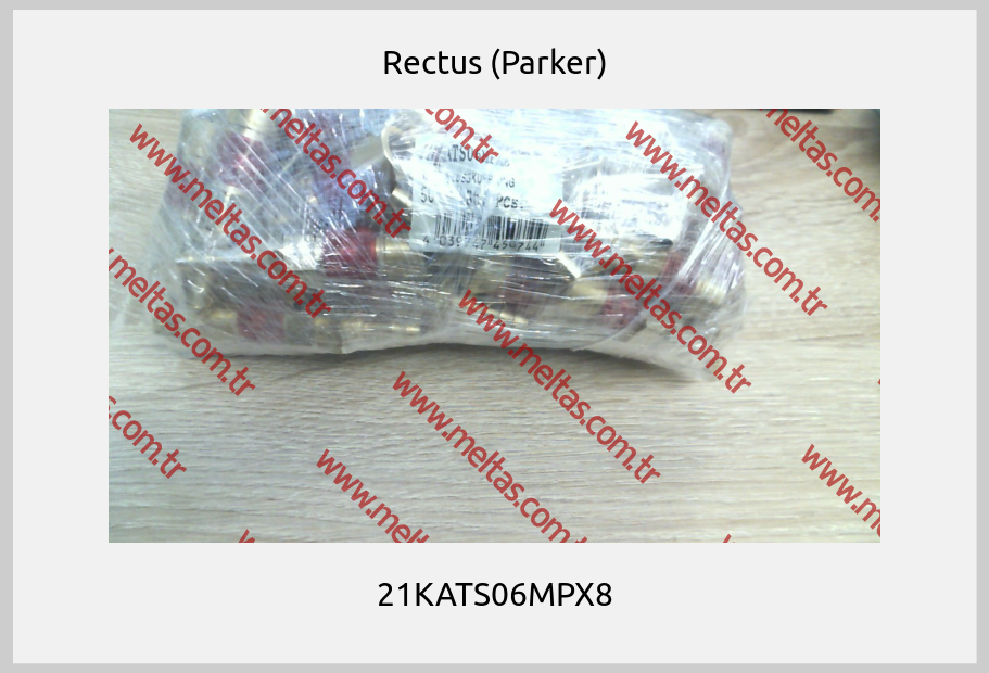Rectus (Parker) - 21KATS06MPX8